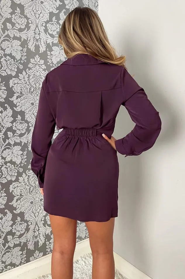 AX Paris Plum Pleated Gathered Long Sleeve Mini Dress Dresses