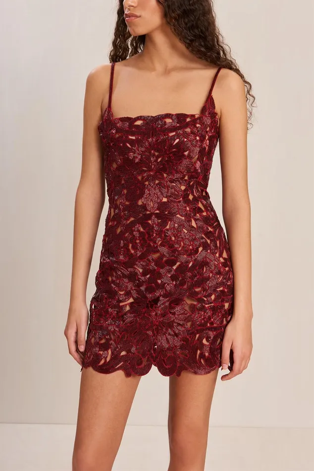 Cult Gaia Vanya Dress Merlot Women Dresses