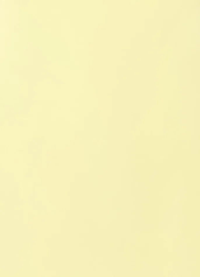 Dresses and Jumpsuits Women LEO LIN Chloe Sleeveless Mini Dress 8211 Sorbet Yellow