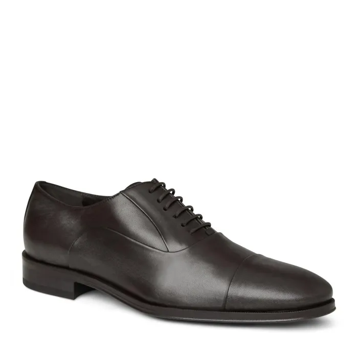 Maioco Leather Oxford 8211 Dark Brown Men Bruno Magli Laceups and Oxfords