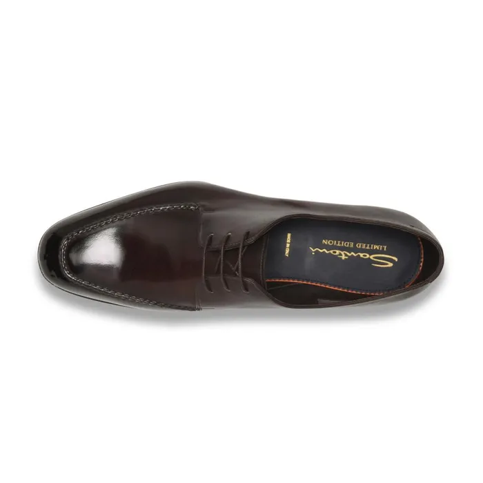 Men Dark Brown Leather Derby Shoe Santoni LaceUps