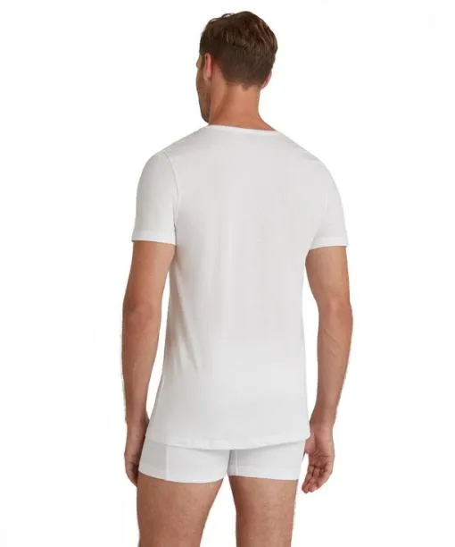 Men Men TShirt Vneck Daily Natural White FALKE Shirts