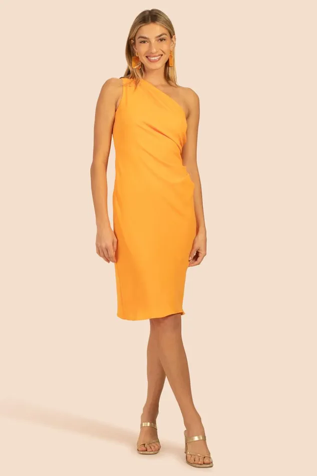 SHOP Trina Turk MINI DRESSES POEM DRESS