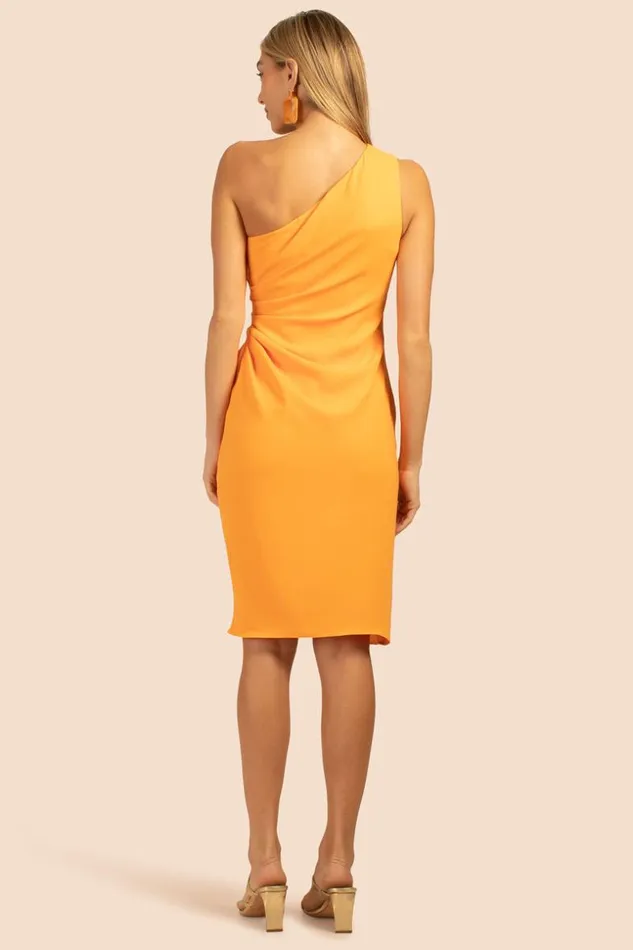 SHOP Trina Turk MINI DRESSES POEM DRESS