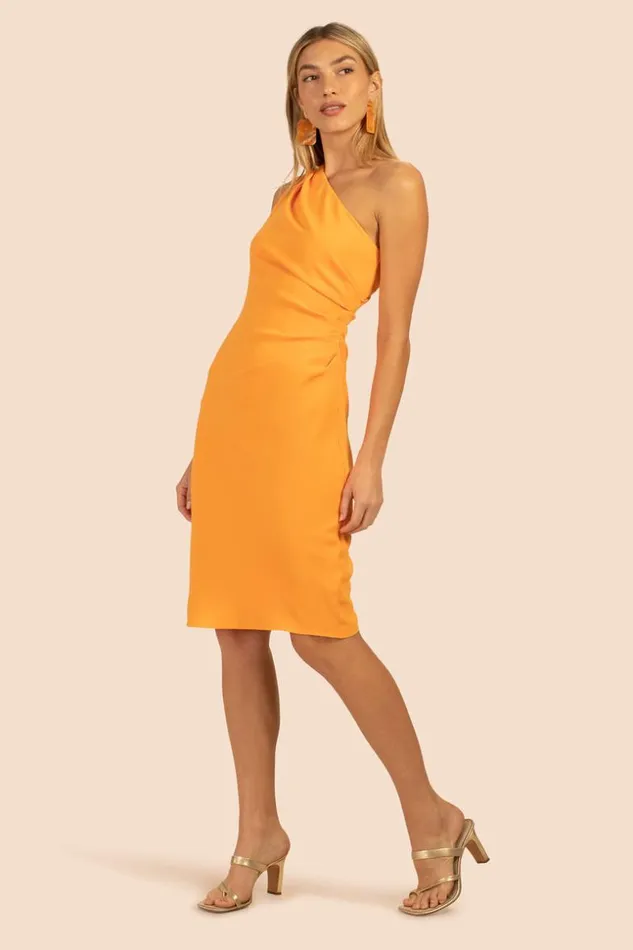 SHOP Trina Turk MINI DRESSES POEM DRESS