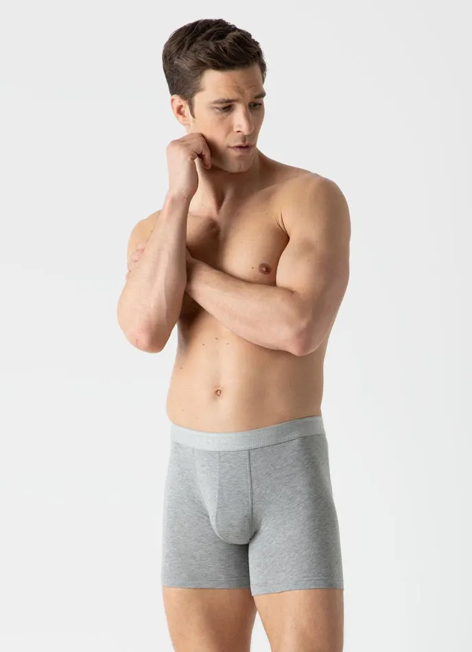 SUNSPEL Trunks and Shorts Long Cut Stretch Cotton Trunks Grey Melange 8211 Men