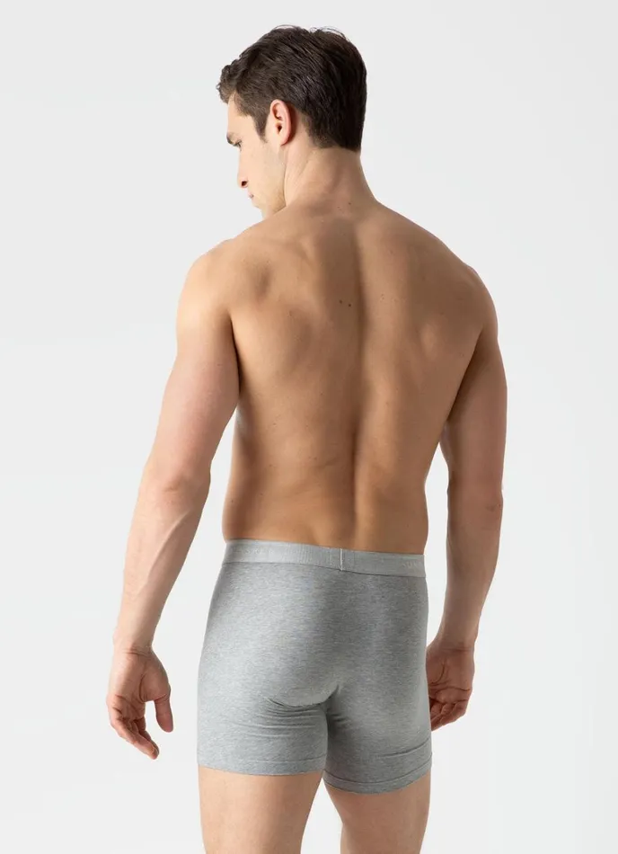SUNSPEL Trunks and Shorts Long Cut Stretch Cotton Trunks Grey Melange 8211 Men