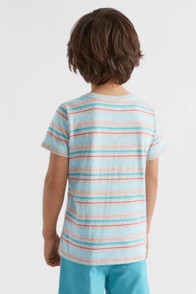 TShirts and Tops Boy Seed Heritage Stripe Tee Cloudy Marle