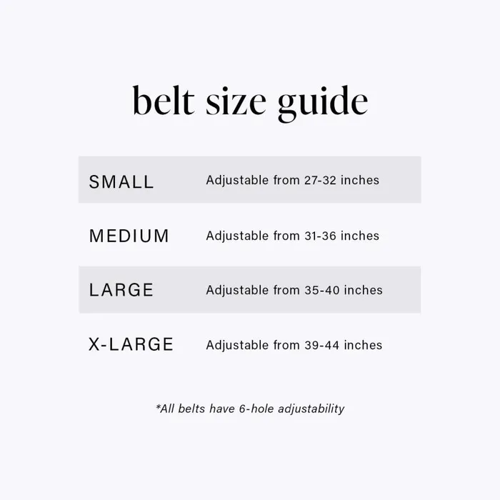 Women Brahmin Belts Skinny Leather Gold Buckle Belt Grey Classic Snake