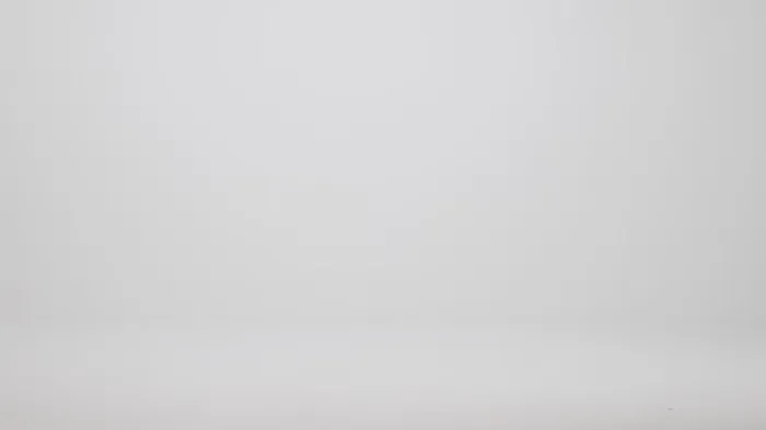 Women Brahmin Satchels Caroline Dusk Gleaming
