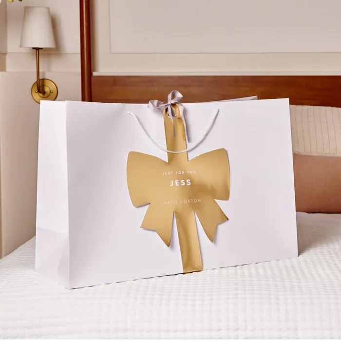 Women Cabin Bags and Suitcases Katie Loxton Milan Light Taupe Cabin Bag 8211 Vegan Leather