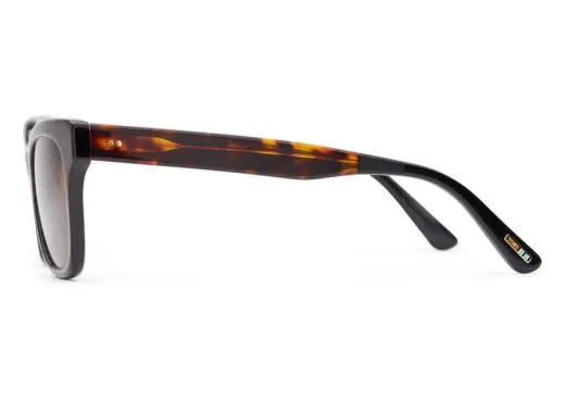 Women Margot Tortoise Brown TOMS Sunglasses