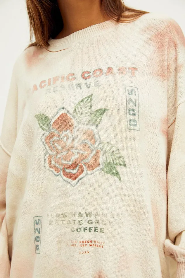 Women Sweaters Free People Cosmos Graphic Pullover Clay Roses Combo