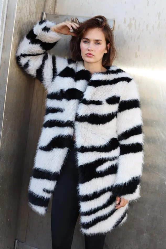 Zebra Jacket 8211 Zebra Women Cras Jackets
